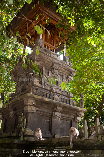 Pura Dalem, The Monkey Temple