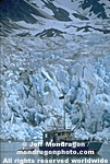 Reid Glacier images