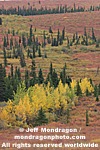 Fall Colors pictures
