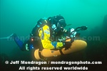 Biologist Surveying Underwater images