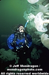 Diver with Metridium pictures