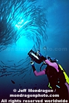 Diver Filming images